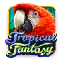 Tropical Fantasy - free slot game