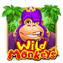Wild Monkeys - free slot game